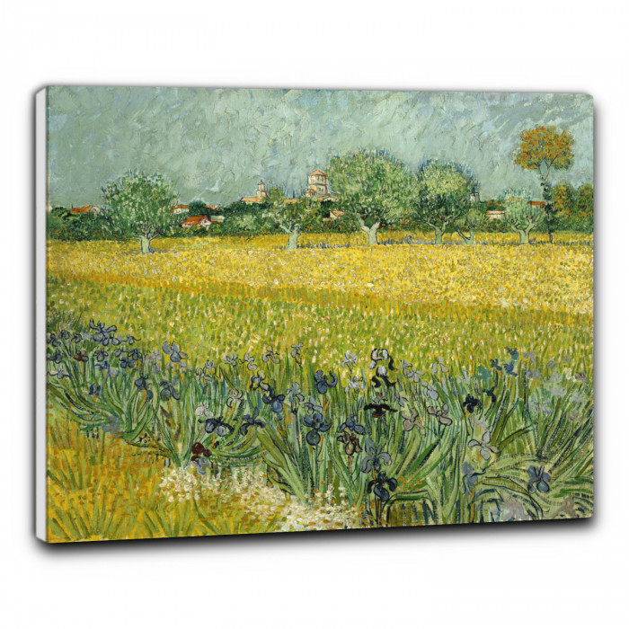 Quadro Campo di Iris di Van Gogh, falso d'autore 50x60cm Personaggi e scene  di vita