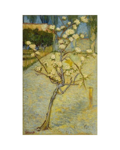 Quadro piccolo pero in fiore di vincent van gogh