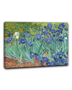 Quadro gli iris di vincent van gogh