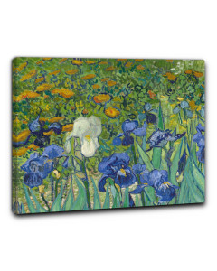 Quadro iris di vincent van gogh particolare