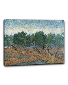 Quadro uliveto secolare di vincent van gogh